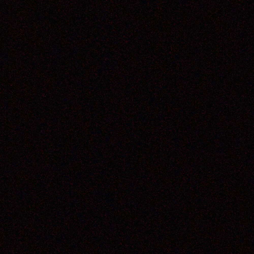 Meet your Posher, Lily